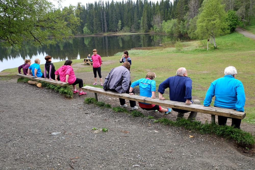 Bilde av mange eldre bakfra som trener ute i naturen