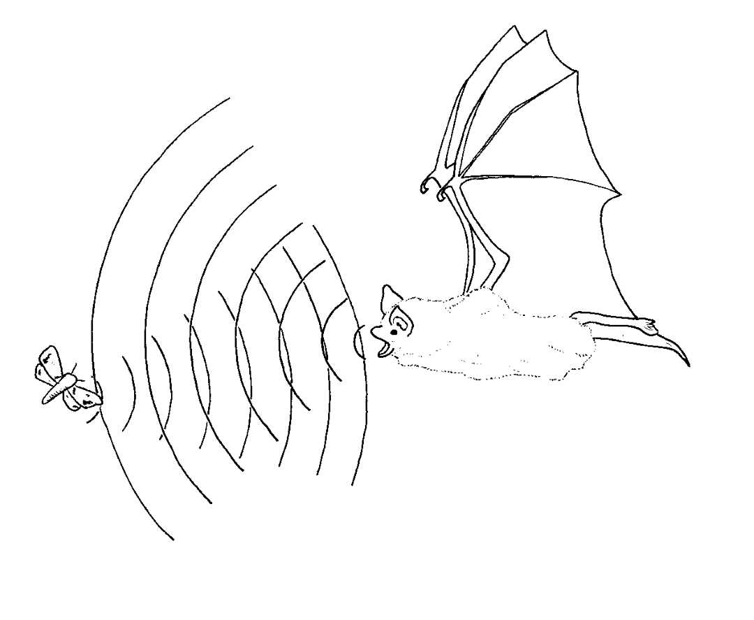 illustrasjon av en flaggermus