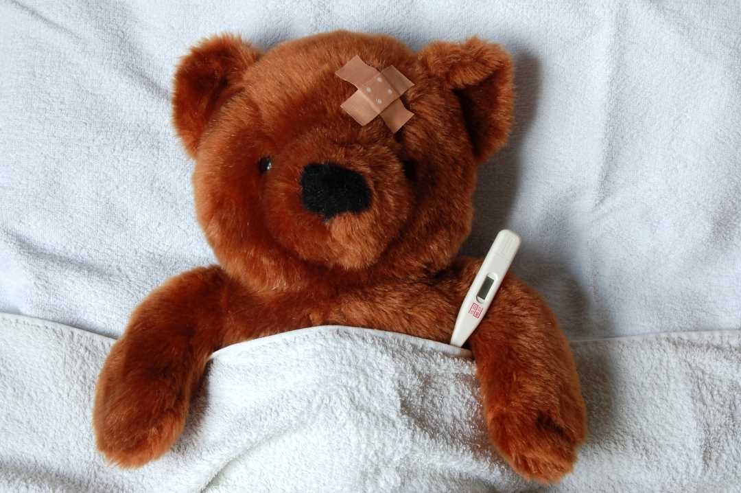 Bide av syk teddybjørn med munnbind